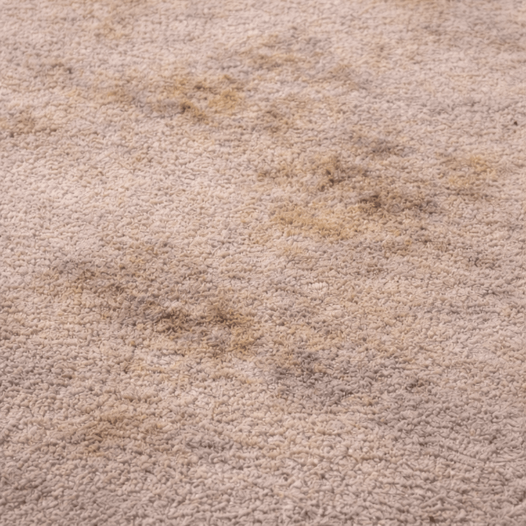 stained and dull area rug in a Cypress TX home before professional area rug cleaning