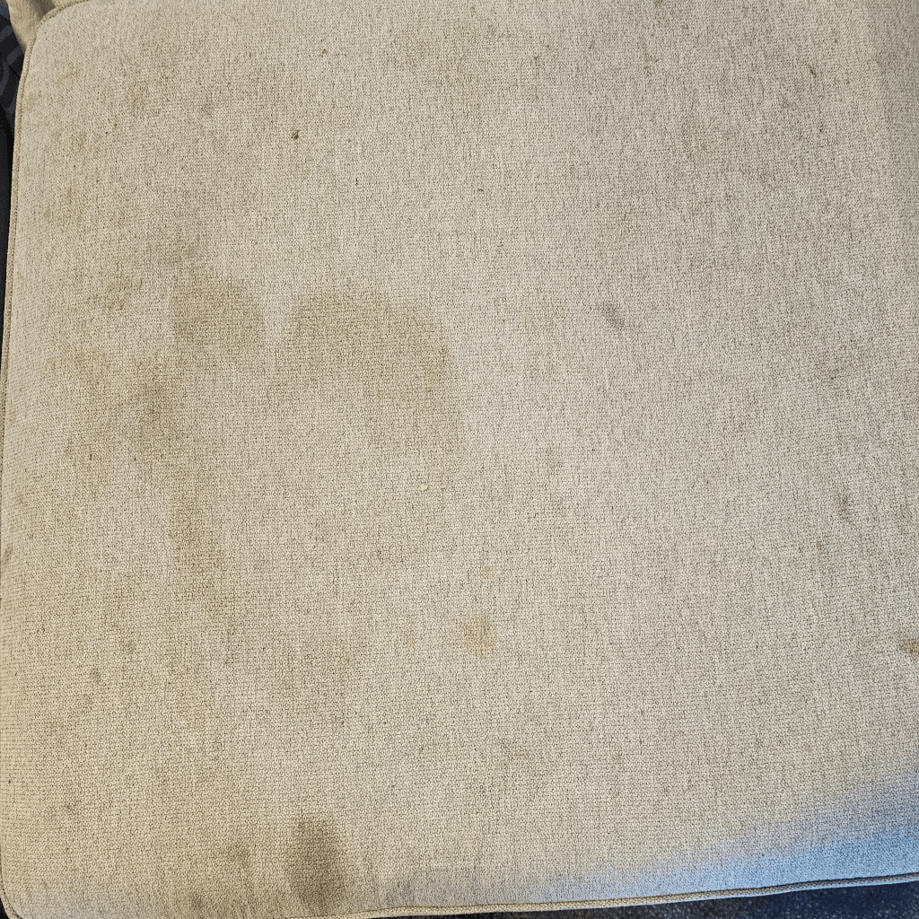 soiled grey couch in a Sugar Land TX living room before professional upholstery cleaning