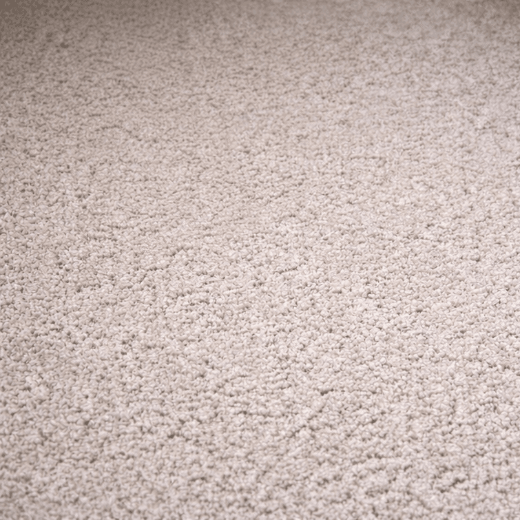 cleaned The Woodlands TX carpet after professional pet stain and odor removal with a fresher restored appearance