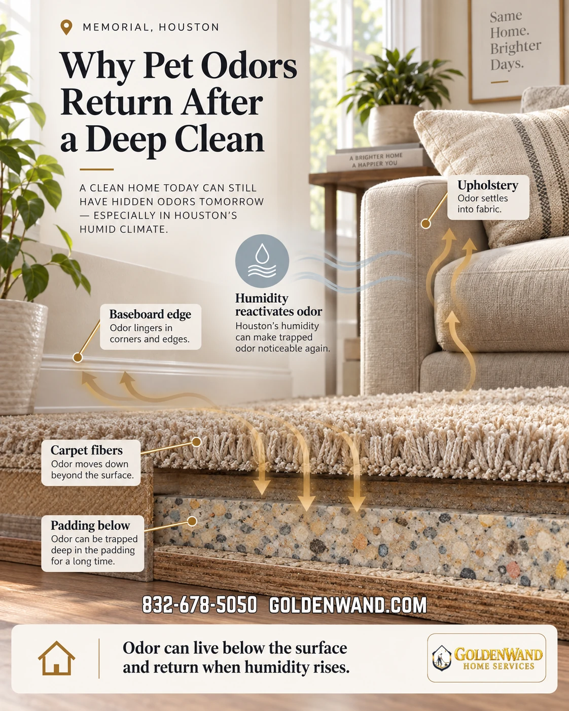 Educational graphic showing how pet odor can remain in carpet fibers, padding, upholstery, and baseboard edges and become noticeable again with humidity.